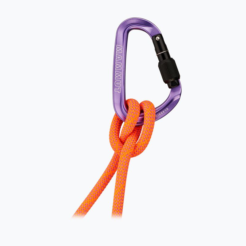 Karabiner Mammut Classic HMS Screwgate screw gate/alpine calamint 2