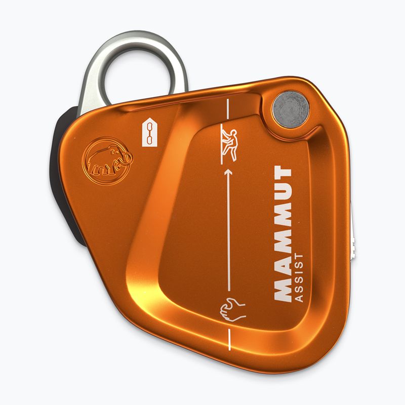 Sicherungsgerät Mammut Assist Belay Resistor gold