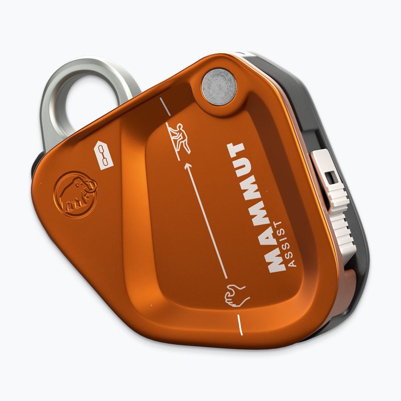Sicherungsgerät Mammut Assist Belay Resistor gold 2