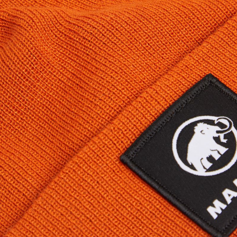Wintermütze Mammut Fedoz Beanie autumn larice 2