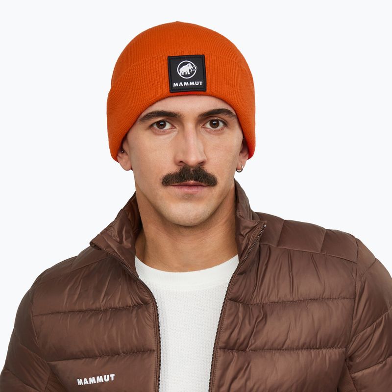 Wintermütze Mammut Fedoz Beanie autumn larice 3