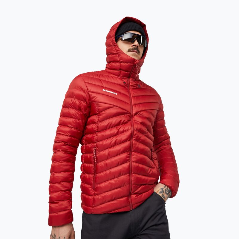 Gefütterte Herrenjacke Mammut Albula IN Hooded Jacket Men dark mammut red 3