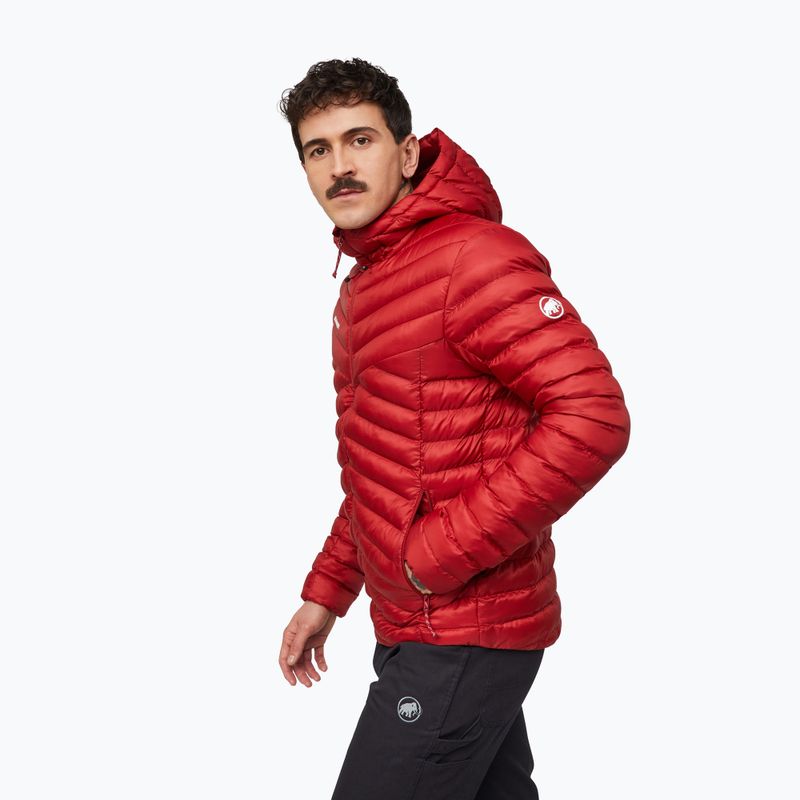 Gefütterte Herrenjacke Mammut Albula IN Hooded Jacket Men dark mammut red 4