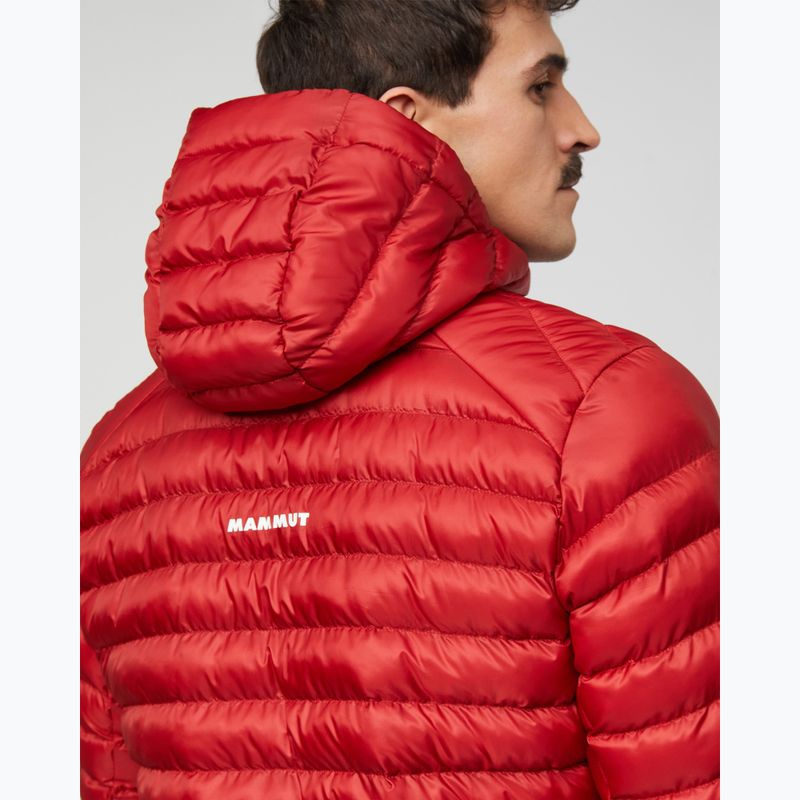 Gefütterte Herrenjacke Mammut Albula IN Hooded Jacket Men dark mammut red 7
