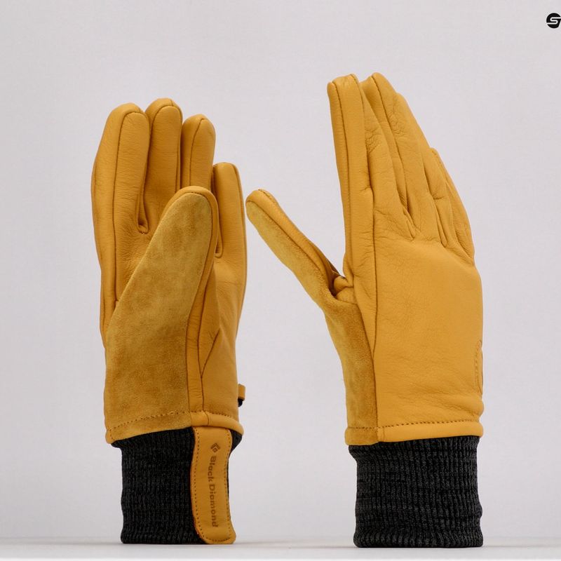 Tourenski handschuhe Black Diamond Dirt Bag gelb BD81861 8
