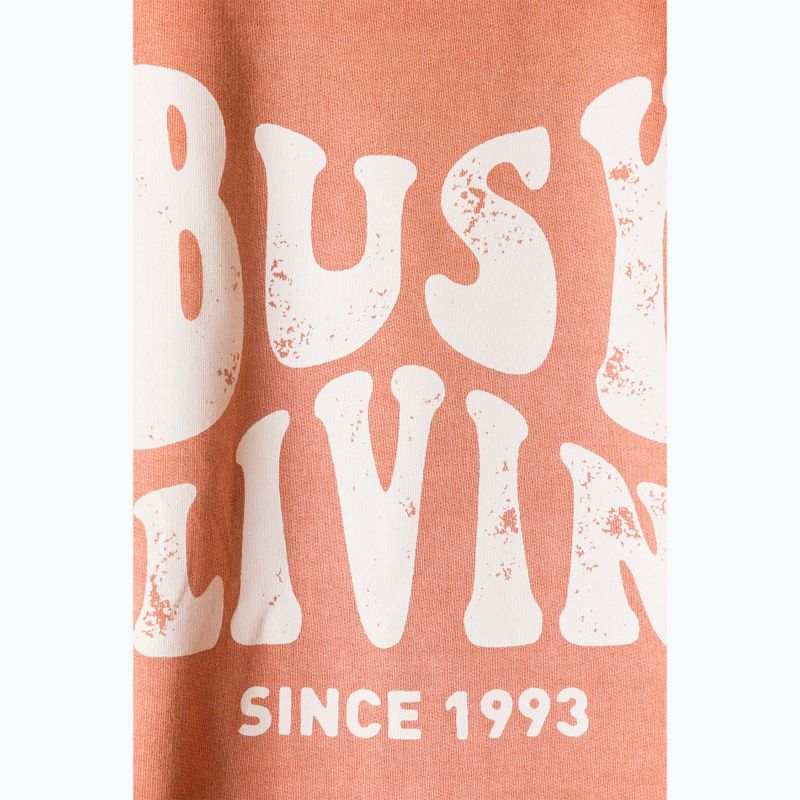 Sweatshirt Hoodie Herren KAVU Core Crew fired brick 3
