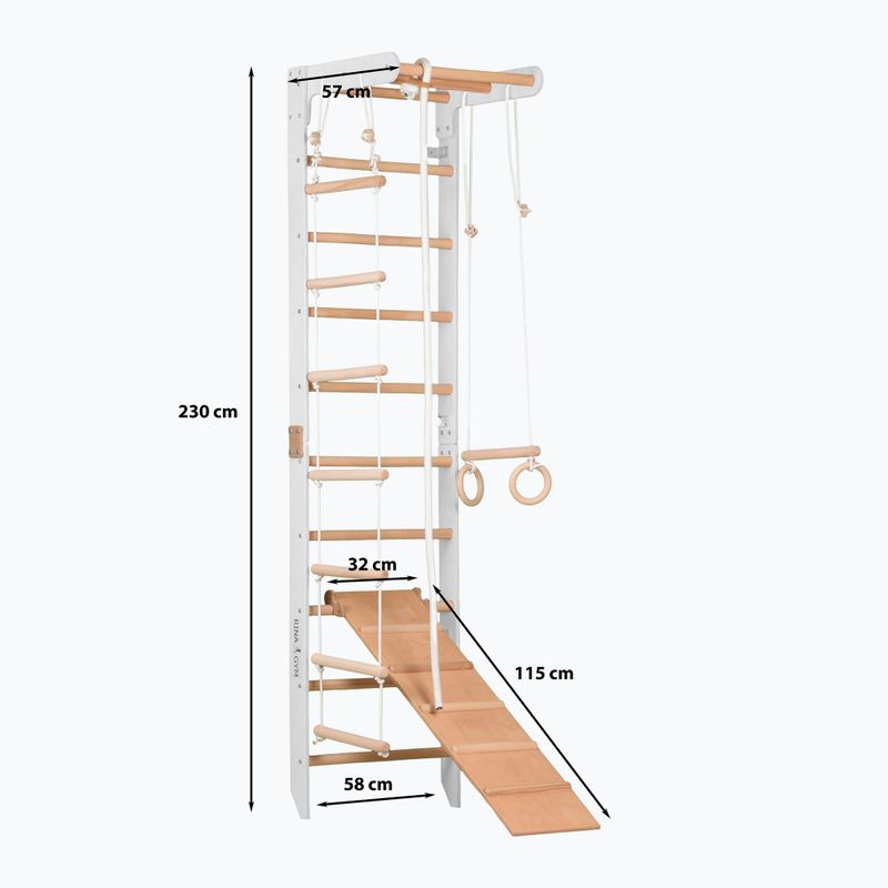 RINAGYM SPR B+SLIDE Gymnastikleiter 2