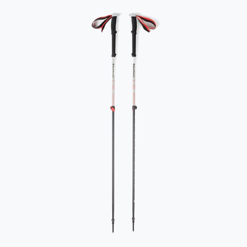 Black Diamond Expedition 2 Skit-Tourenstöcke schwarz BD11158900001451