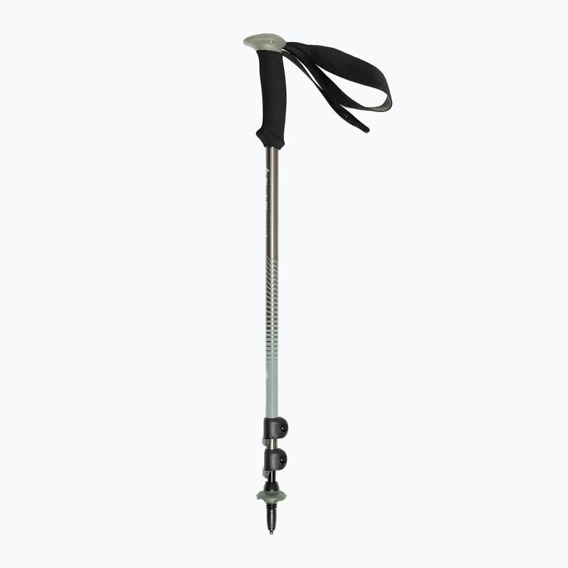 Trekkingstöcke Black Diamond Trail Back Trek grau BD11254831 2