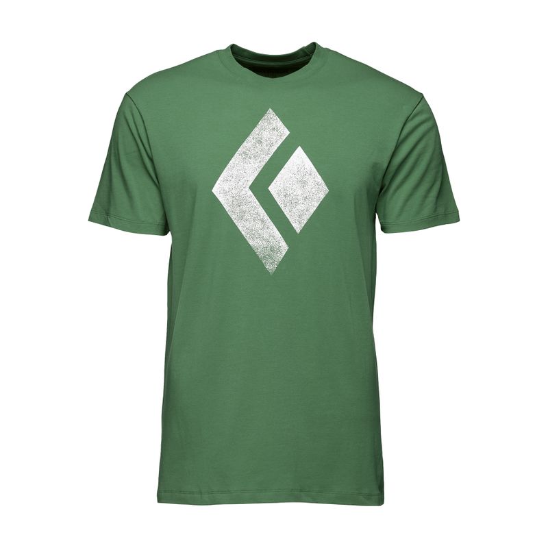 Black Diamond Chalked Up Herren Kletter-T-Shirt grün APUO953050LRG1 4
