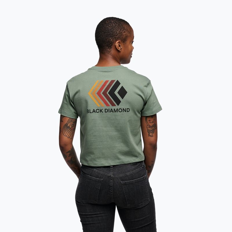 Frauen Black Diamond Faded Crop lorbeergrünes T-shirt