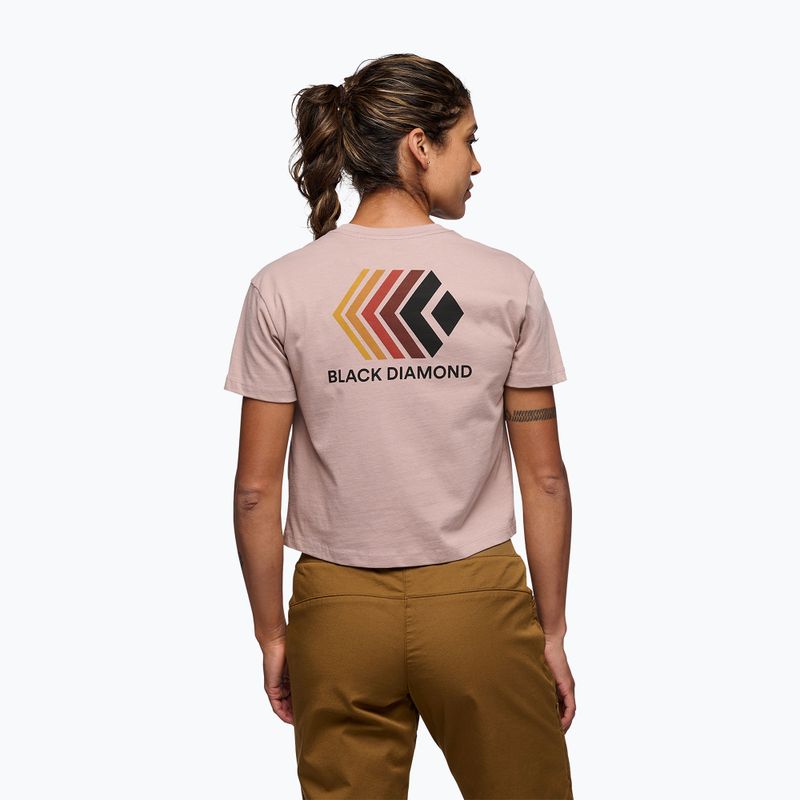 Frauen Black Diamond Faded Crop blass mauve T-shirt 3