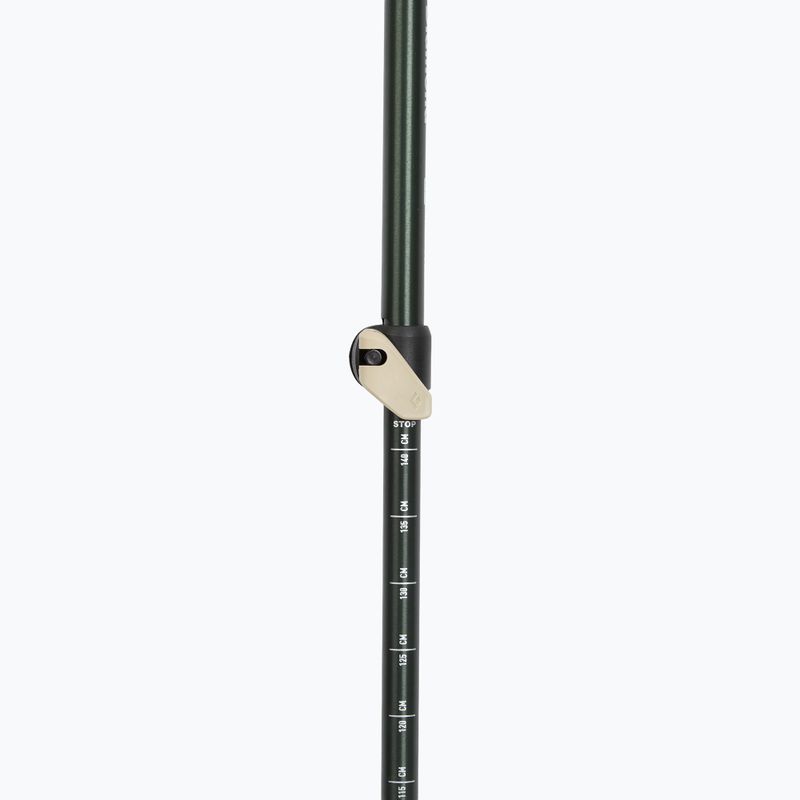 Black Diamond Trail Kork Trekkingstöcke lorbeergrün 4