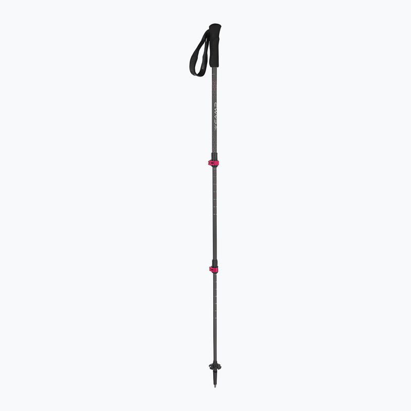 Trekkingstöcke CAMP Backcountry Carbon 2
