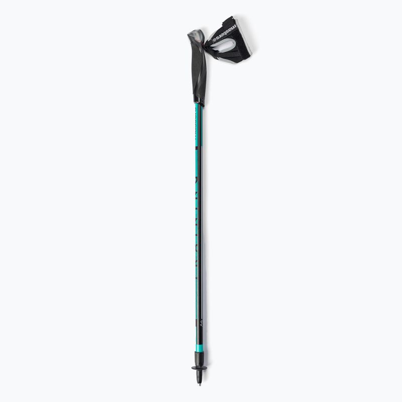 Masters Pole Training Nordic Walking Stöcke schwarz 01N0620 6