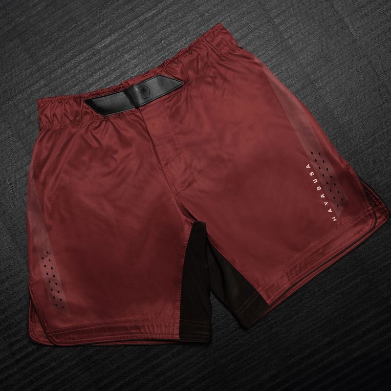 Herren-Trainingsshorts Hayabusa Apex Fight 3/4 red 3