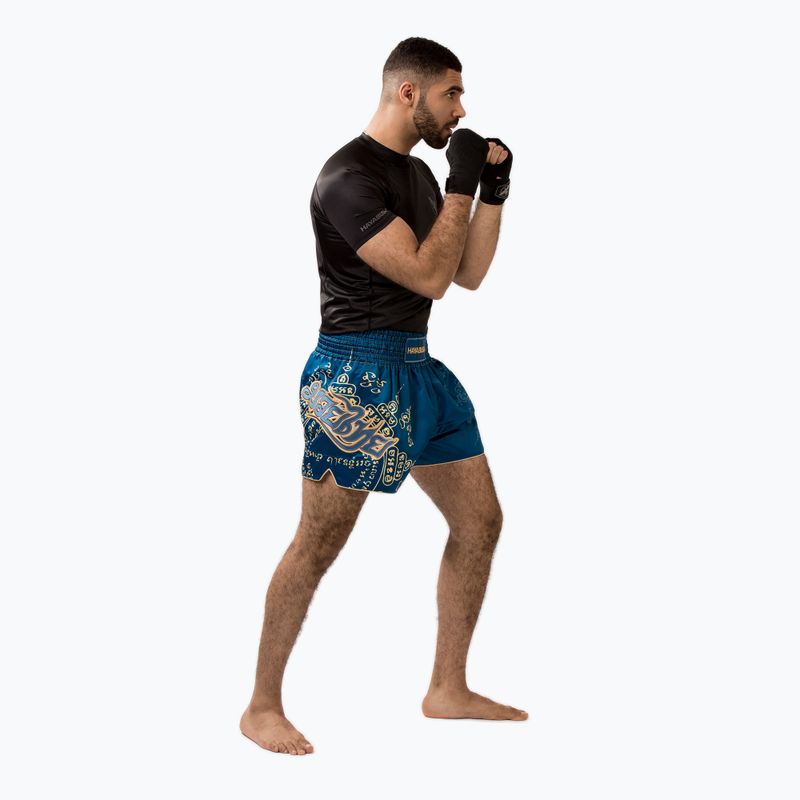 Hayabusa Falcon Muay Thai Herren Trainingsshorts blau 4