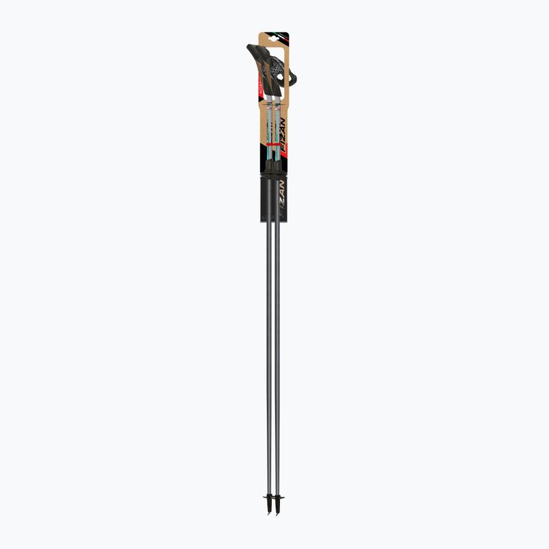 Nordic-Walking-Stöcke Fizan Carbon Pro Impulse grey 3