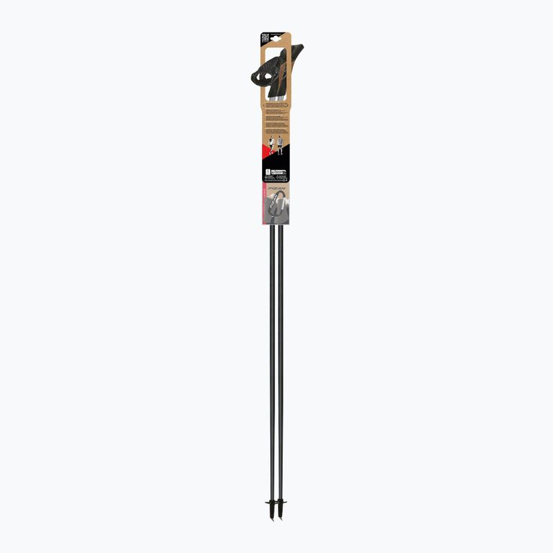 Nordic-Walking-Stöcke Fizan Tekno Impulse grey 4