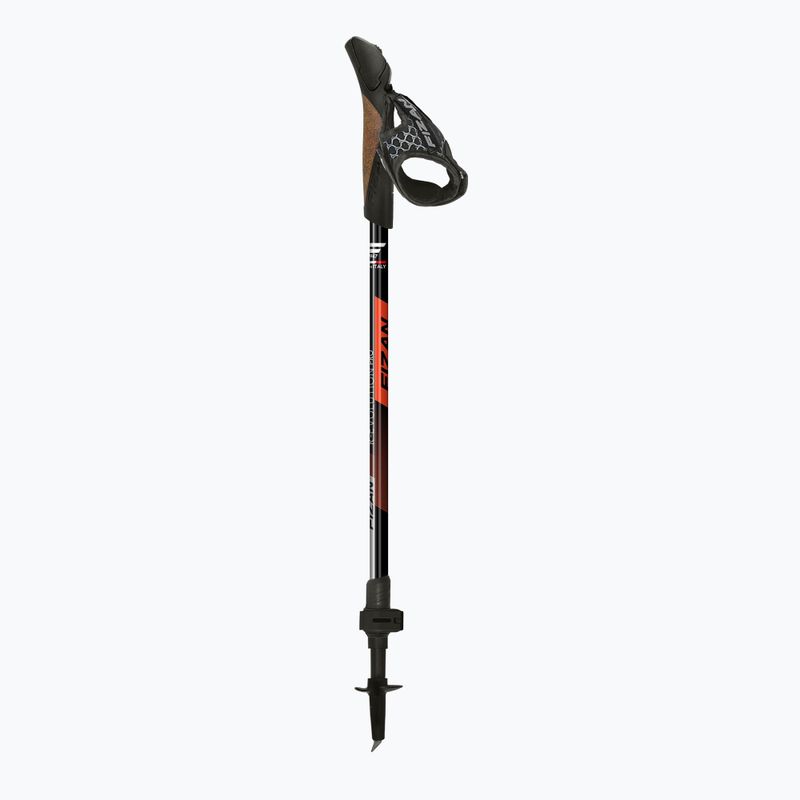 Nordic-Walking-Stöcke Fizan R-Evolution Pro red 2