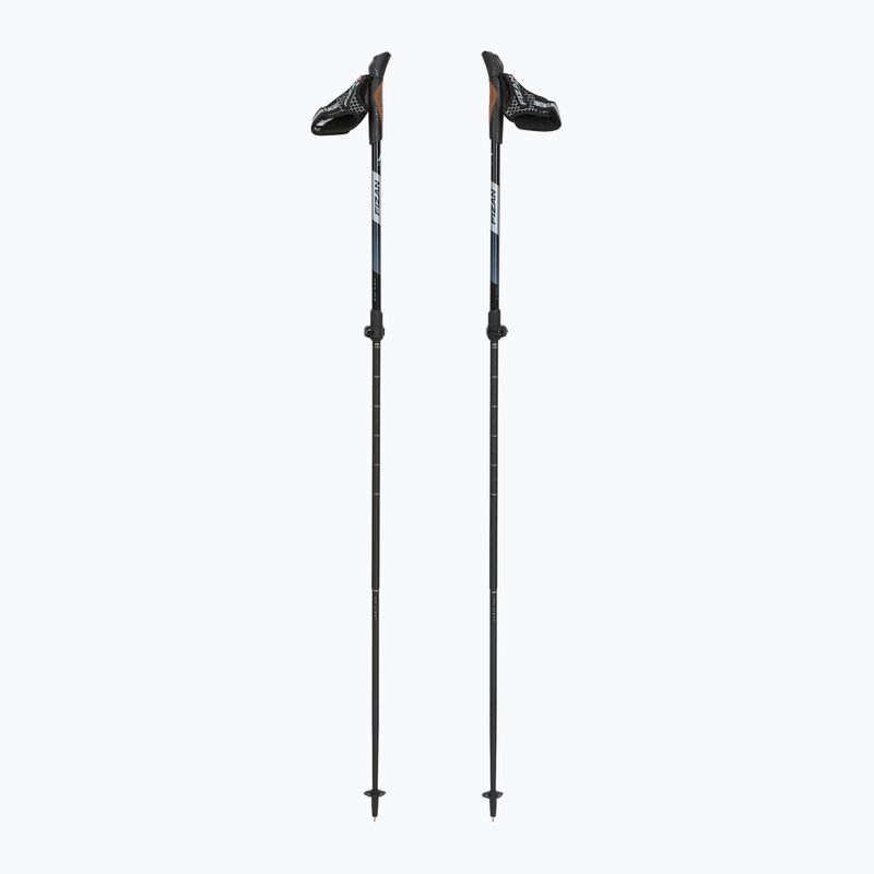 Nordic-Walking-Stöcke Fizan R-Evolution beige