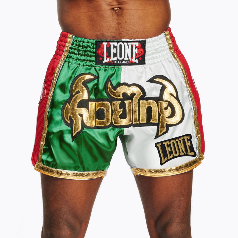 Herren Trainingsshorts LEONE 1947 Siam Thai grün/weiß