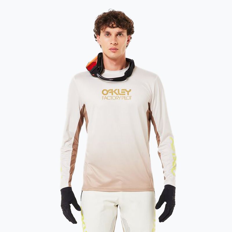 Herren Oakley Maven Coast 2.0 LS Gradient Kiesel Nebel Radfahren Longsleeve