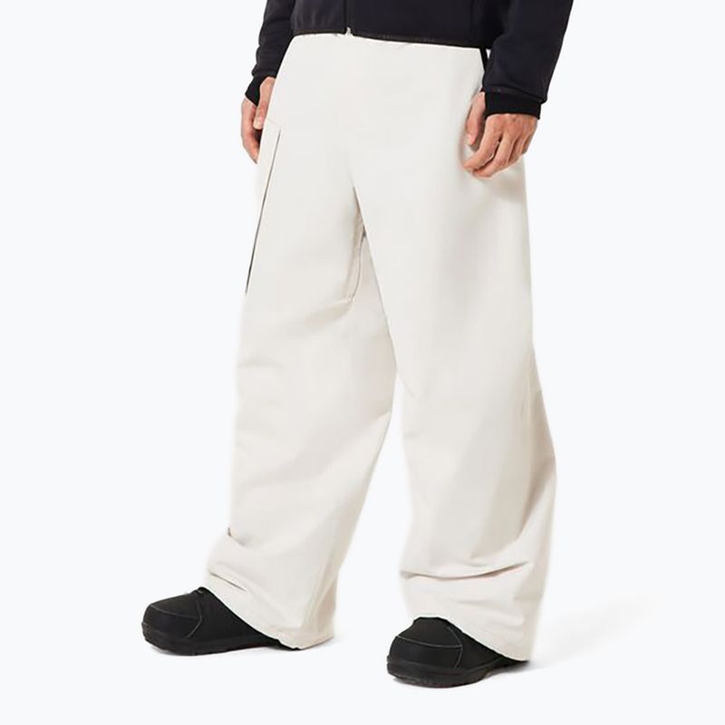 Herren Snowboardhose Oakley Channel Cargo mist