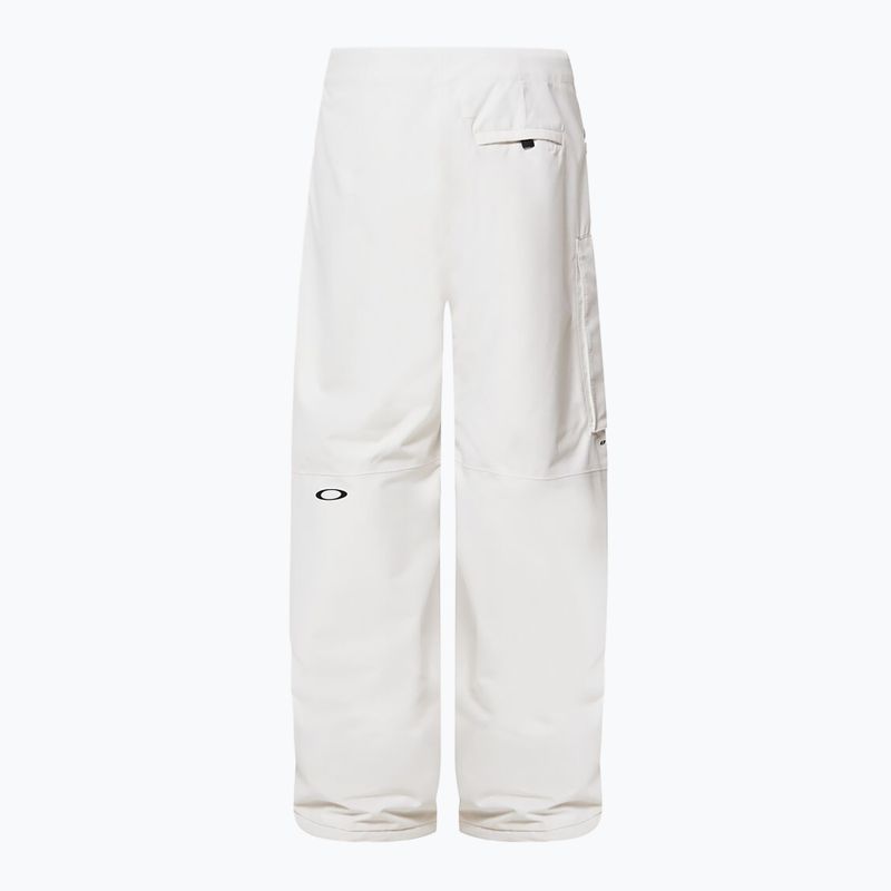 Herren Snowboardhose Oakley Channel Cargo mist 9