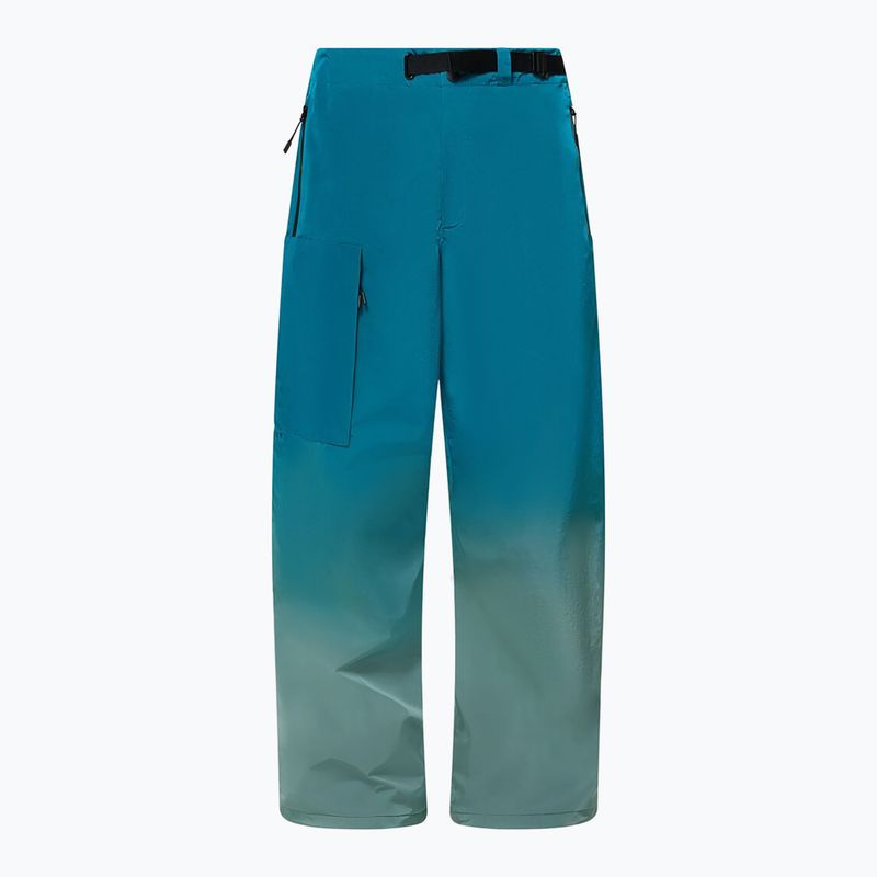 Herren Snowboardhose Oakley Channel Grade Cargo new balsam 8