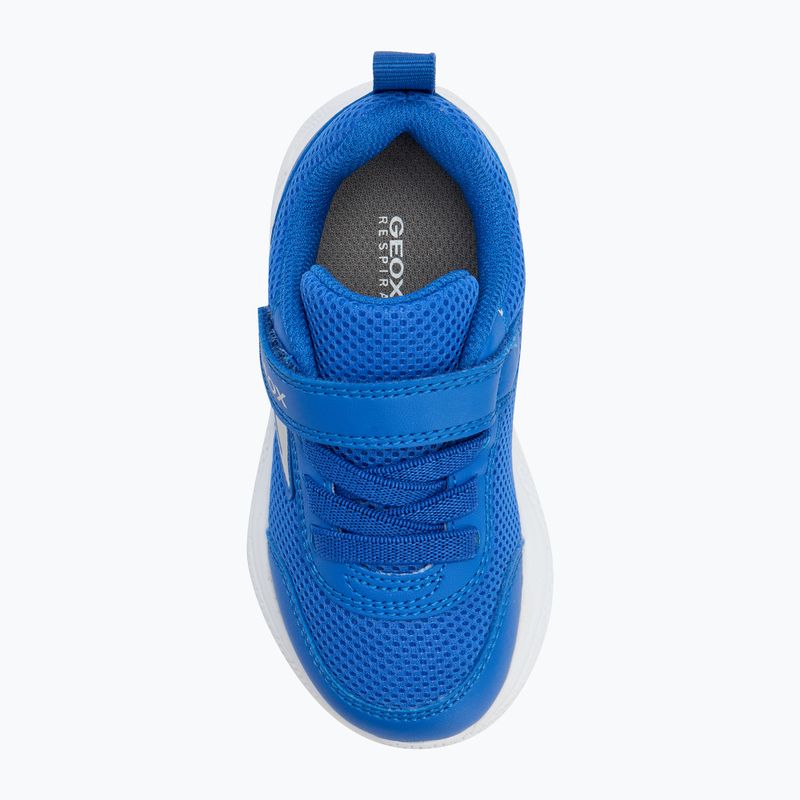 Geox Sprintye royal Schuhe 5