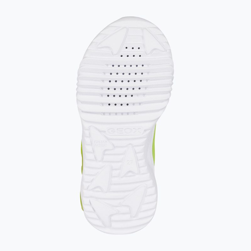 Geox Assister Junior Schuhe limette/schwarz 6