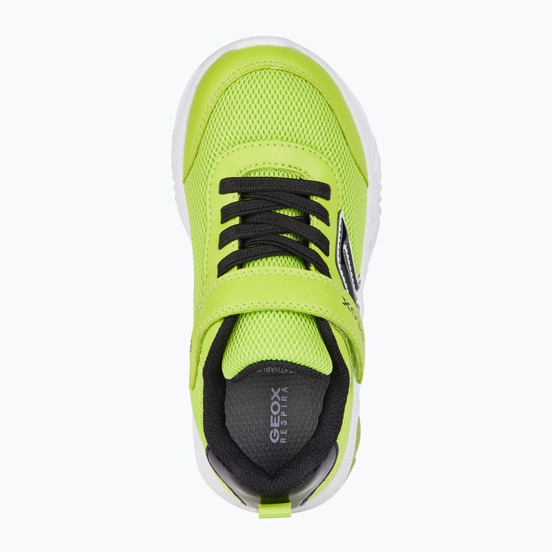 Geox Assister Junior Schuhe limette/schwarz 7