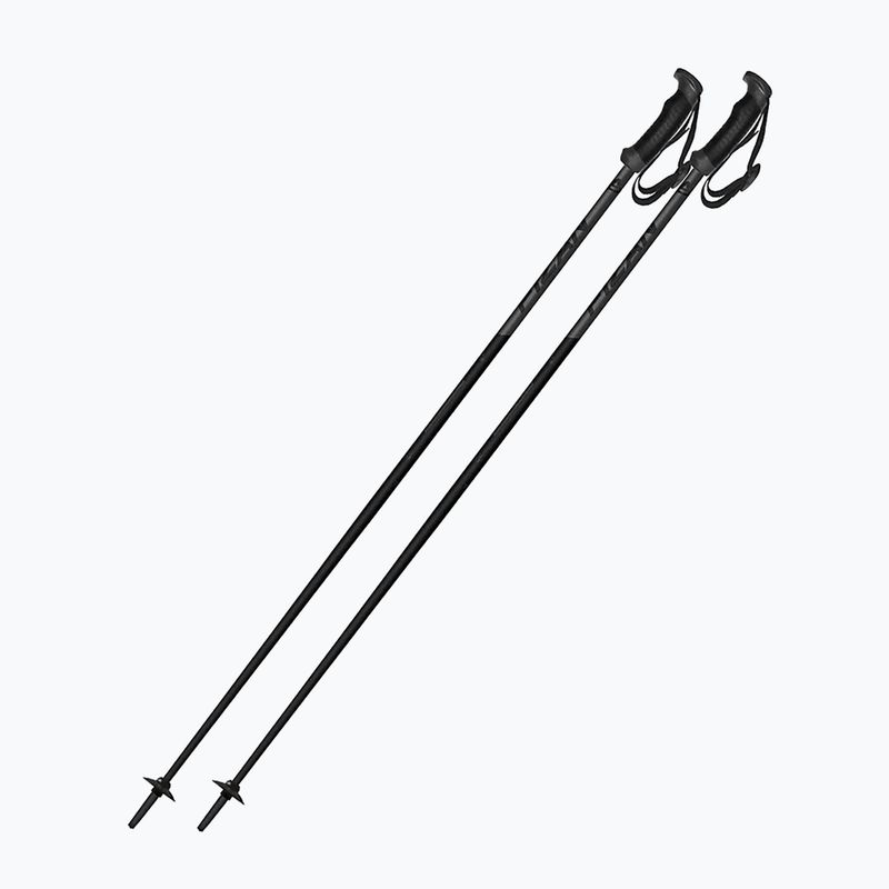 Fizan Storm Pro Skistöcke schwarz