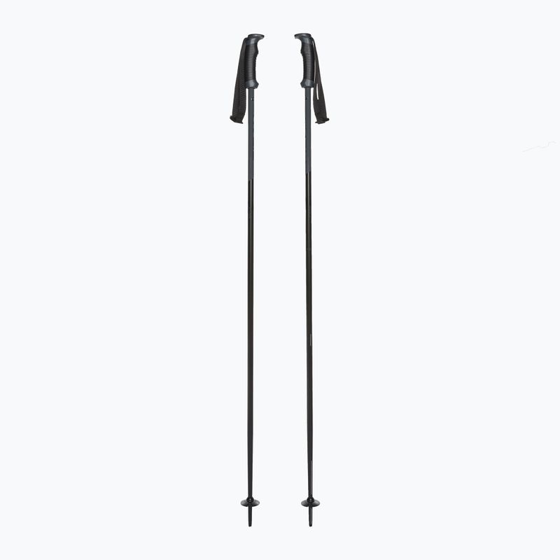 Fizan Storm Pro Skistöcke schwarz