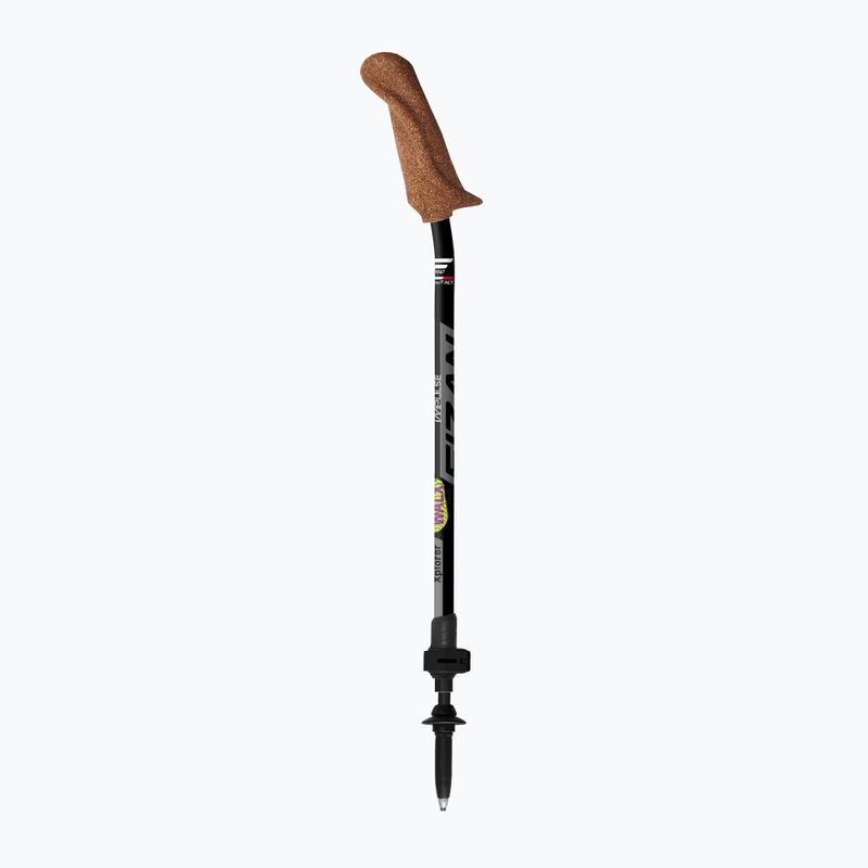 Fizan Walx Xplorer Nordic Walking Stöcke grau