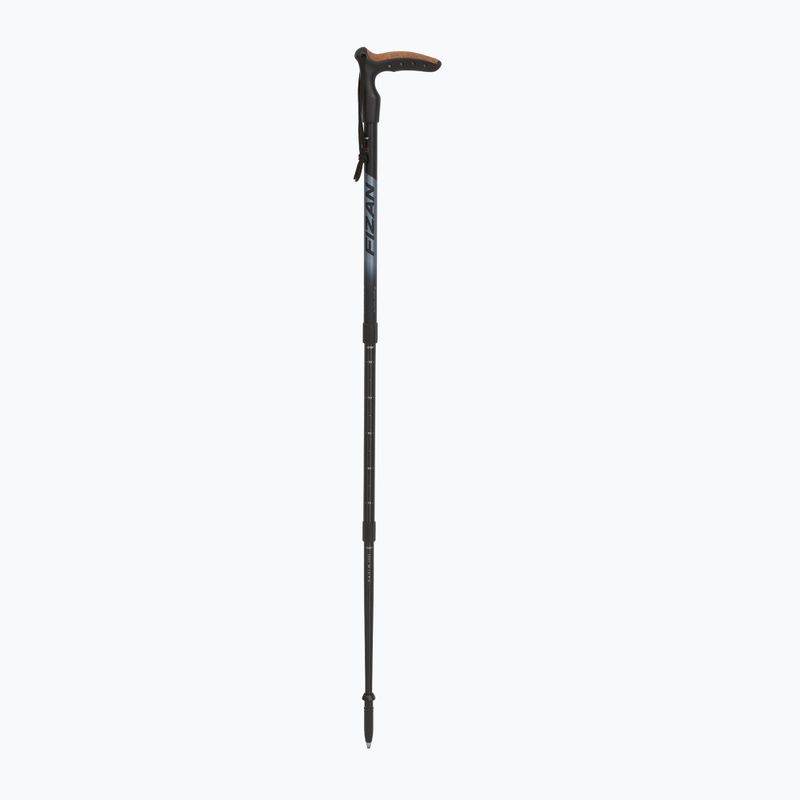 Nordic Walking Stock Fizan Classic Micro grau
