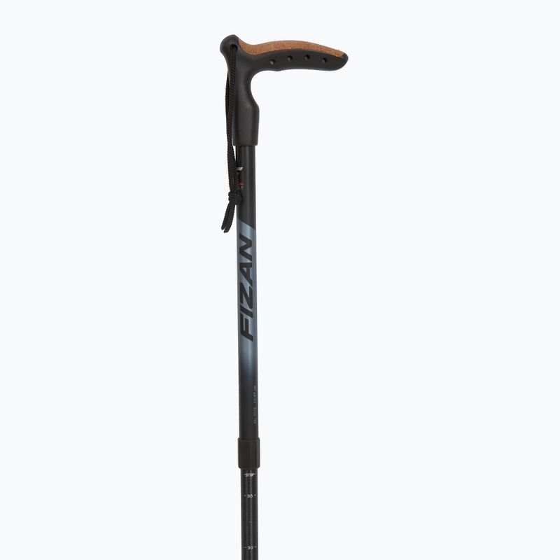Nordic Walking Stock Fizan Classic Micro grau 2