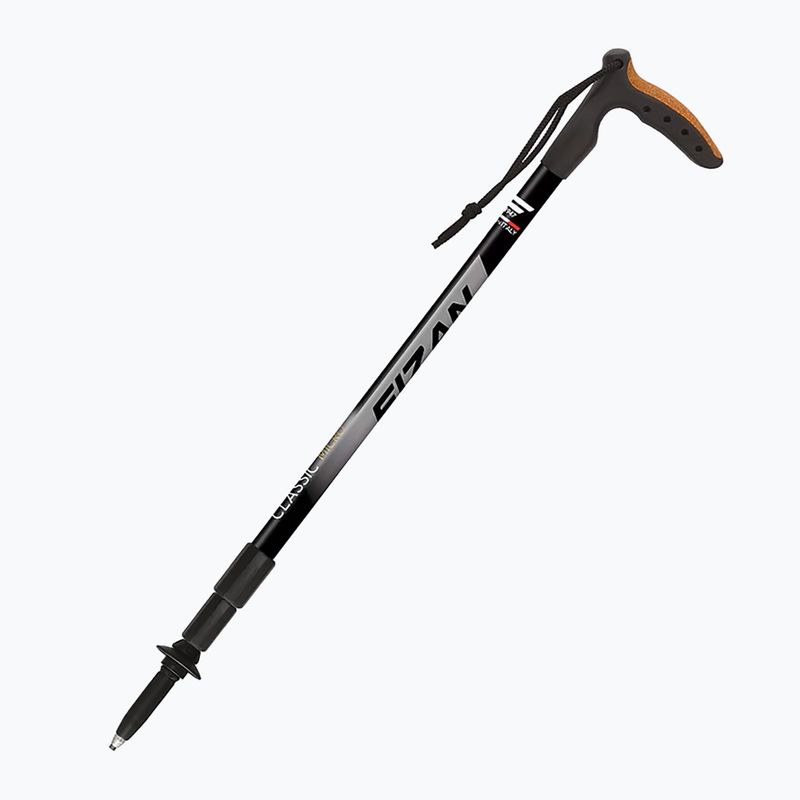 Nordic Walking Stock Fizan Classic Micro grau