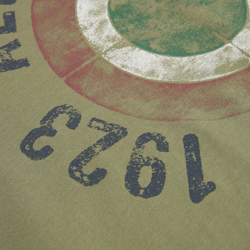 Herren T-Shirt Aeronautica Militare TS2538UJ00727 lichen green 3