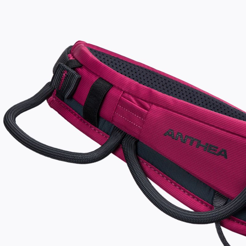 Climbing Technology Anthea Klettergurt rosa 3