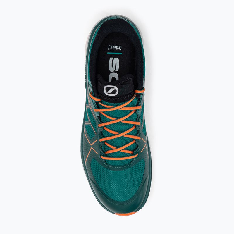 SCARPA Spin Infinity GTX Herren Laufschuhe blau 33075-201/4 7
