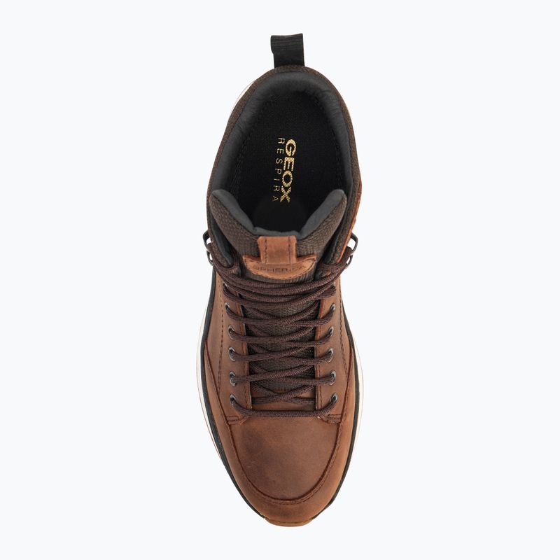 Schuhe Herren Geox Spherica™ Actif X2 ABX coffe/black 5
