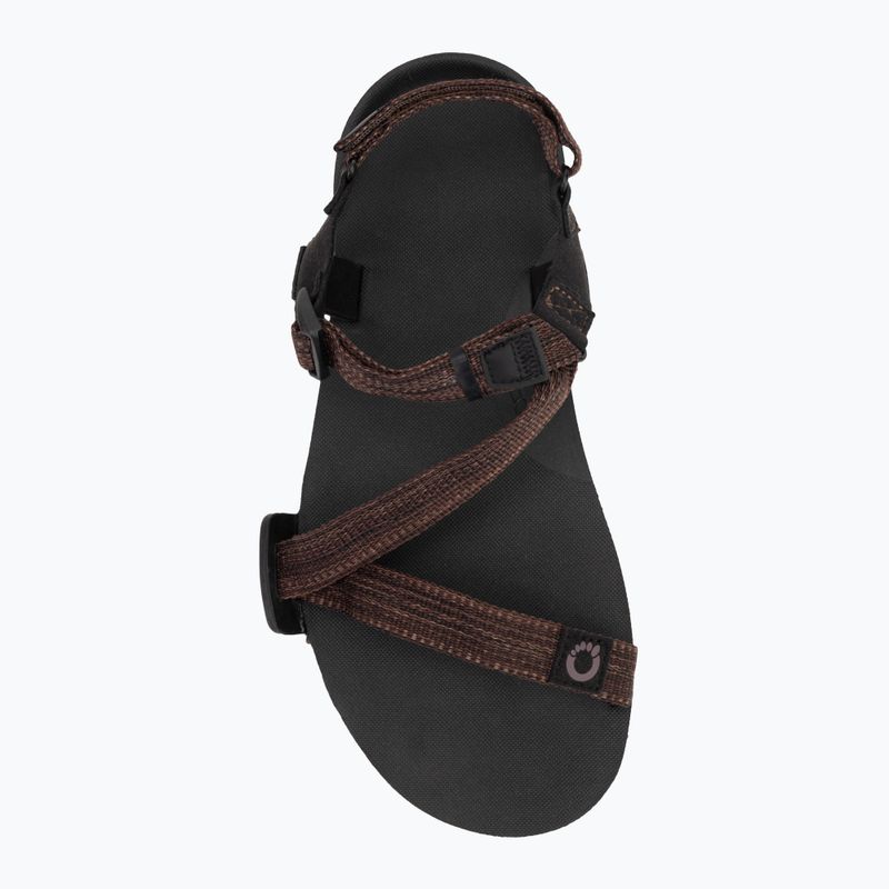 Herren Barfußsandalen Xero Schuhe Z-Trail EV multi / braun 5