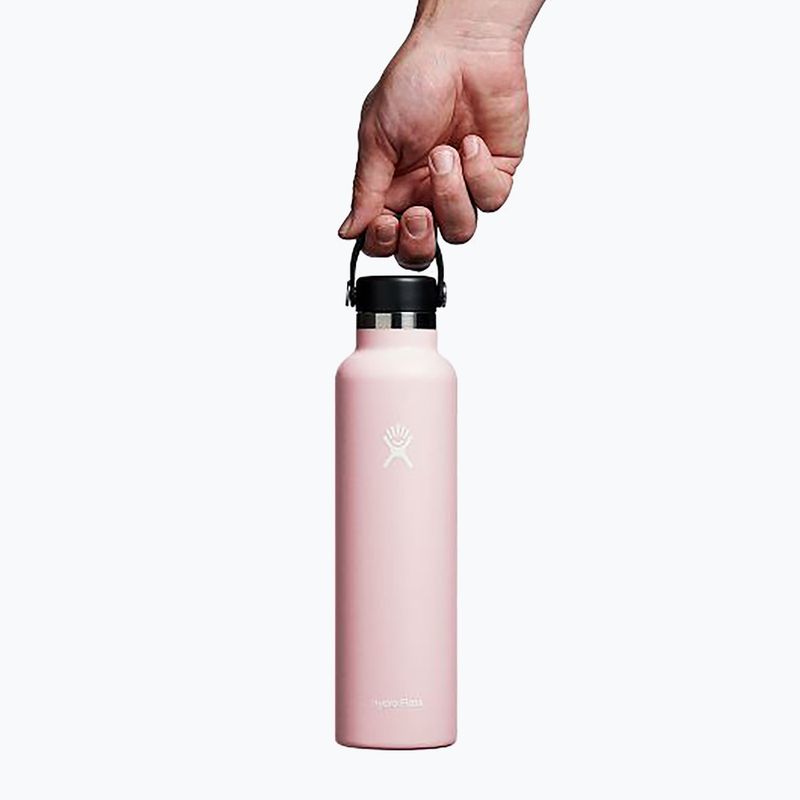 Hydro Flask Standard Flex Cap 709 ml Trillium Thermoflasche 5