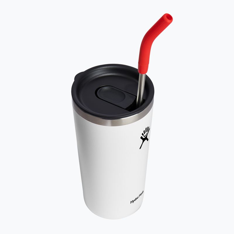Hydro Flask Edelstahl Strohhalme 2 Stück goji