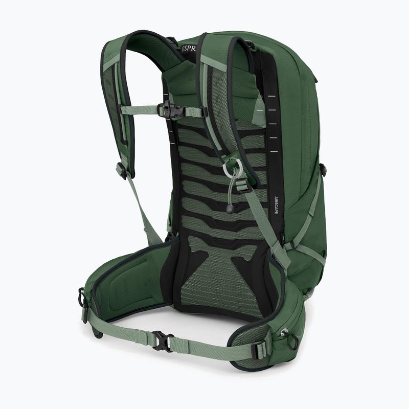 Osprey Talon 22 l grün Baldachin / Kiefer Blatt Männer Wandern Rucksack 4