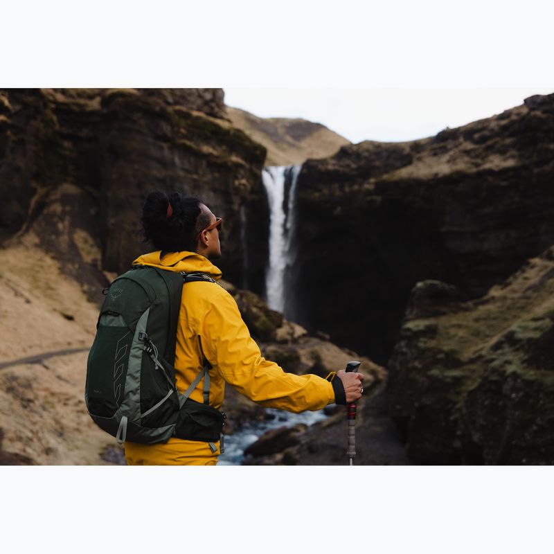 Osprey Talon 22 l grün Baldachin / Kiefer Blatt Männer Wandern Rucksack 10