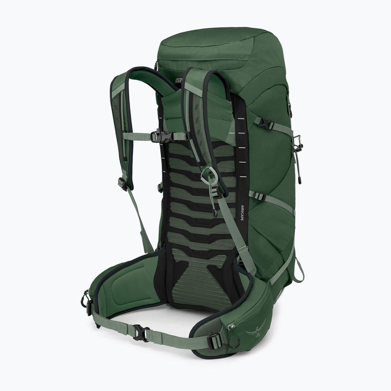 Wander Rucksack Herren Osprey Talon 33 l green canopy/ pine leaf 2