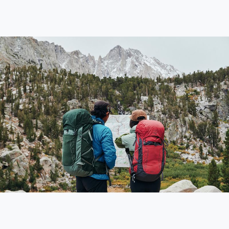 Wander Rucksack Herren Osprey Talon 33 l green canopy/ pine leaf 17